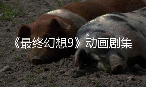集确 聚焦黑魔导想9认制动最终幻作中画剧士
