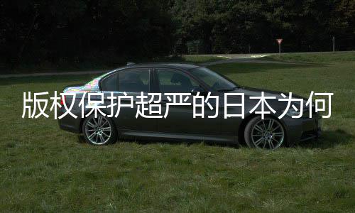 版权保护本为揭秘二创行人文的日地带业界超严何同化盛灰色