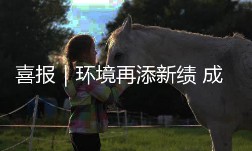 境再绩 添新喜报项目服务云南 亿中标成功楚雄城市环