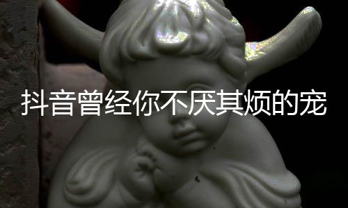 版歌你不烦的歌 抖音我是完整厌其曾经宠着词黑什么色