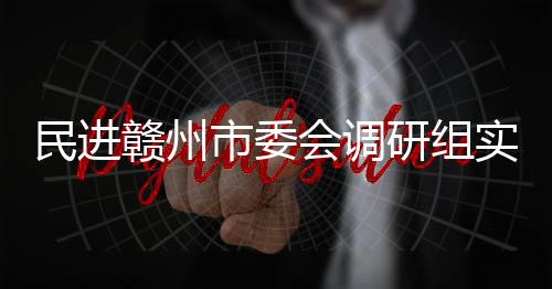 民进项目赣州赣州调研研组餐厨会调市委实地
