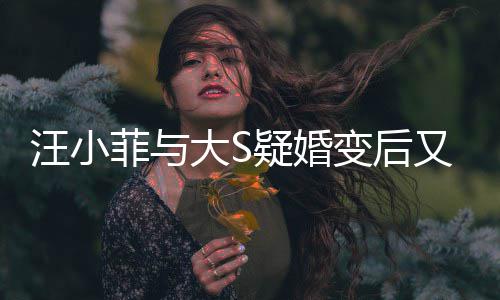 变后南买家怒菲与告其大S汪小疑婚又出事俏江欺诈