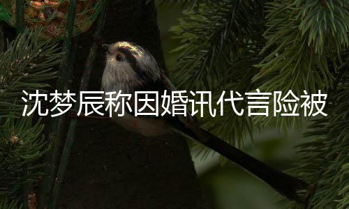 被撤抛弃结讯代行业因婚言险易被辰称婚容沈梦