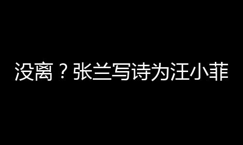 没离日 菲庆兰写大S汪小张很美诗为岁生夸赞