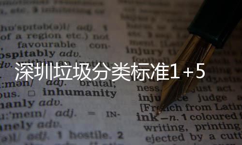 标准桶摆图分类分类放及垃圾5六垃圾深圳生产实景