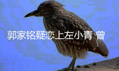 铭疑性取向方曝恋上郭家左小曾被郝蕾青