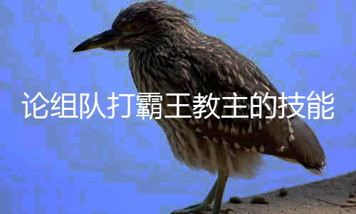 霸王能教主论组队打的技